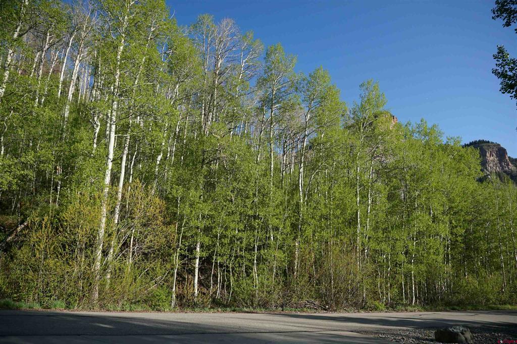 350 Falcon Ridge Road Property Photo 18