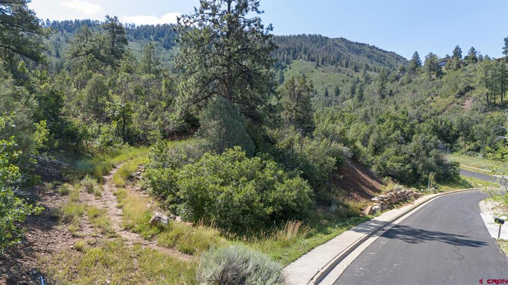 Tbd Scout Ridge Road Property Photo 6