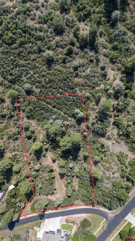 Tbd Scout Ridge Road Property Photo 7