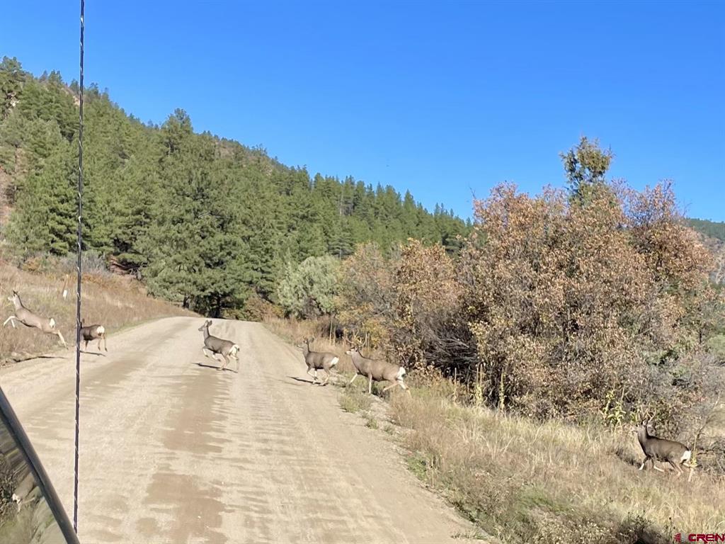 2185 S Rockcliff Circle Property Photo 36