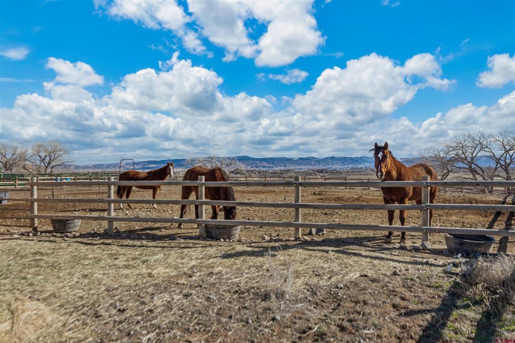 9838 5650 Road Property Photo 34