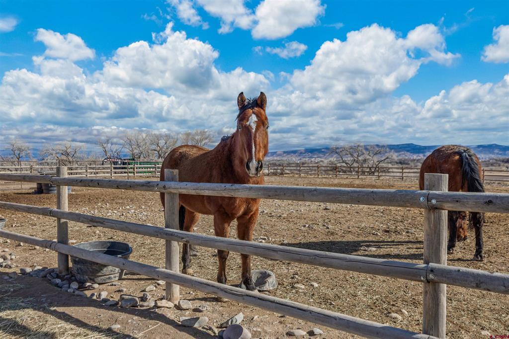 9838 5650 Road Property Photo 35