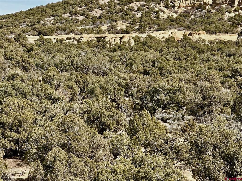 000 Cr 2550 Road Property Photo 1