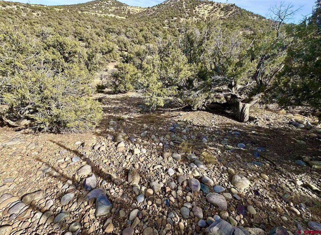 000 Cr 2550 Road Property Photo 2