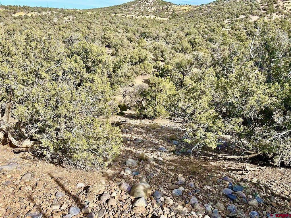 000 Cr 2550 Road Property Photo 3