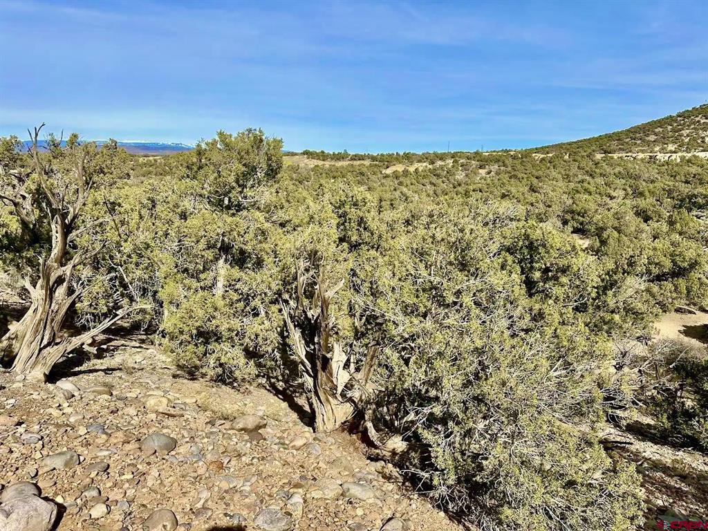 000 Cr 2550 Road Property Photo 4