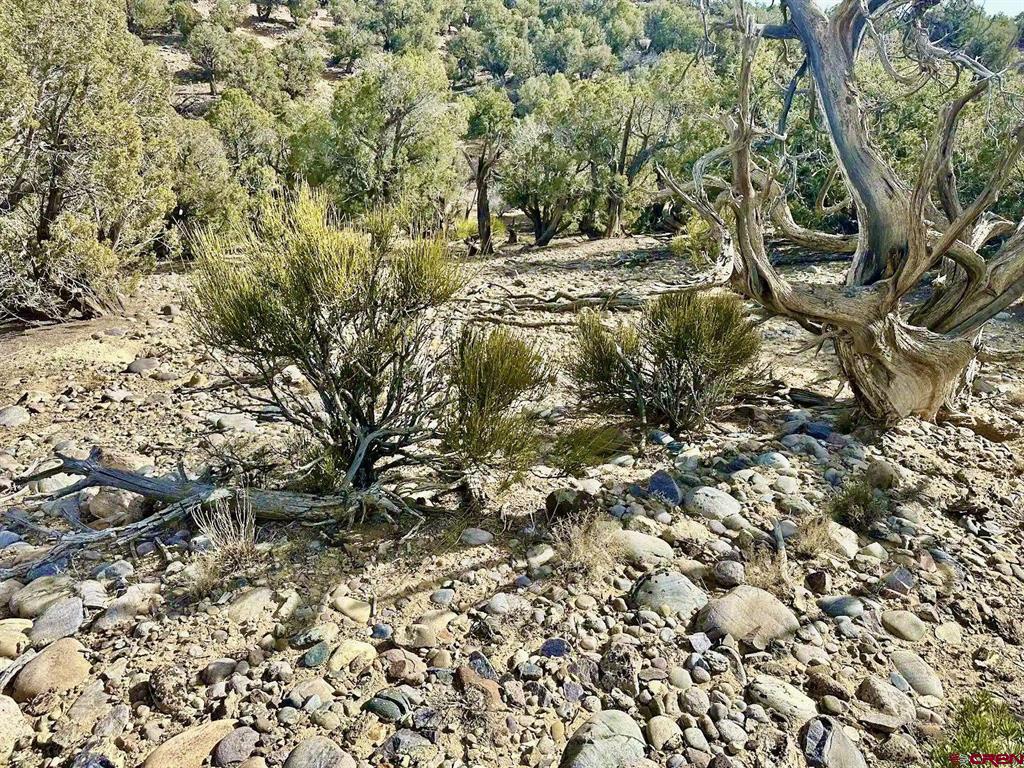 000 Cr 2550 Road Property Photo 5