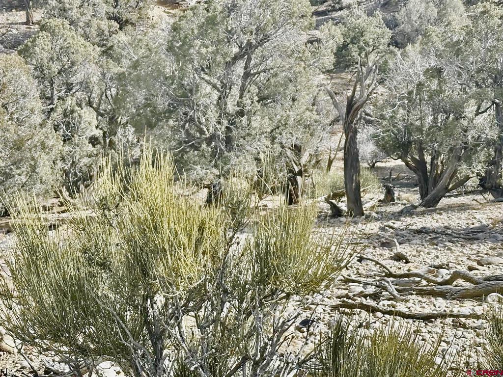000 Cr 2550 Road Property Photo 6