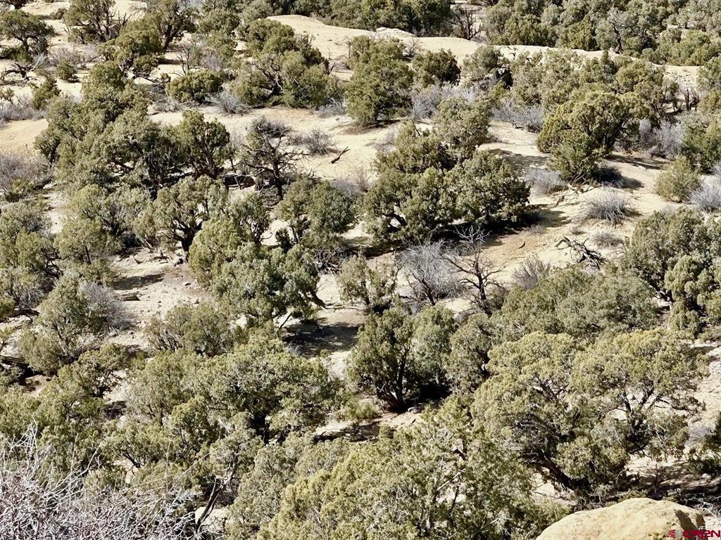 000 Cr 2550 Road Property Photo 10