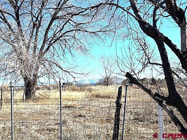 12502 Hwy 145 Property Photo 26