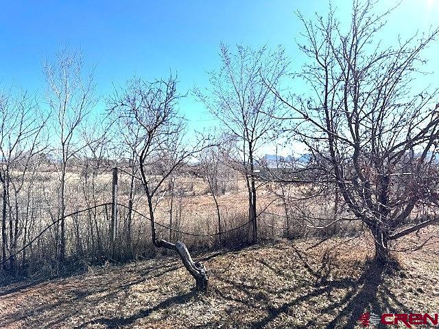 12502 Hwy 145 Property Photo 27