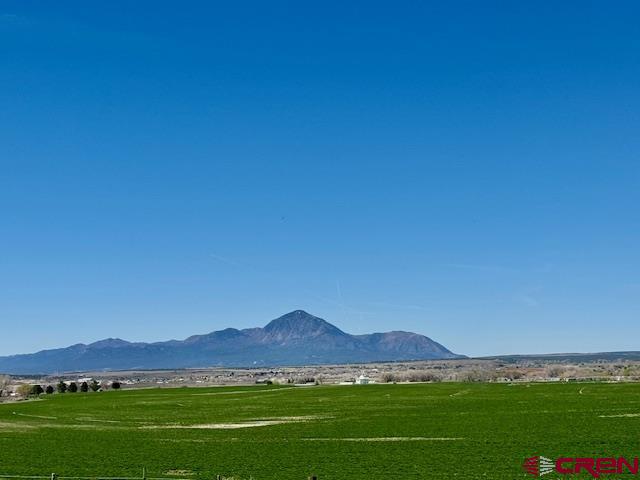 12502 Hwy 145 Property Photo 29