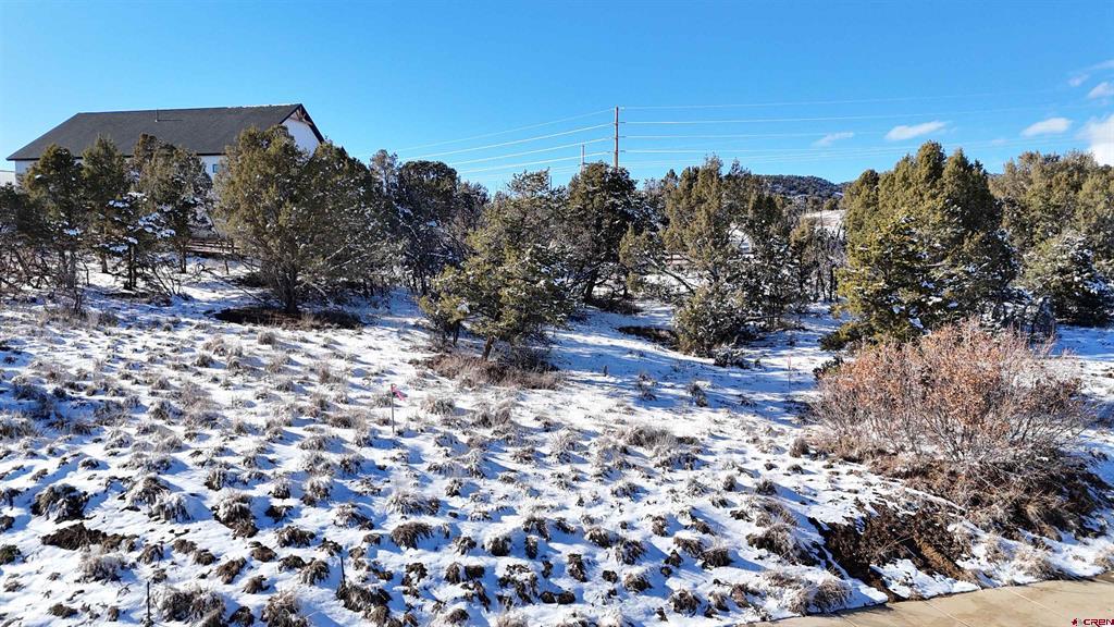 63 Salt Brush Street Property Photo 15