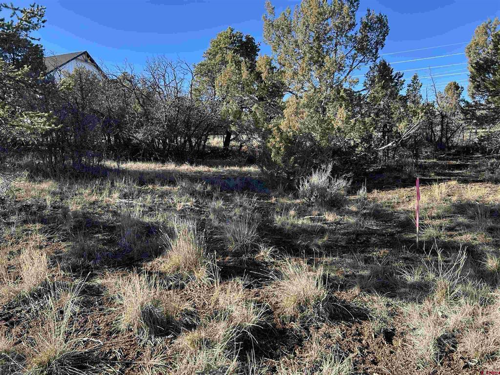 63 Salt Brush Street Property Photo 19