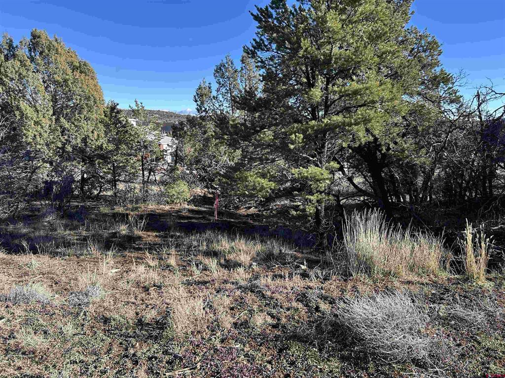 63 Salt Brush Street Property Photo 20