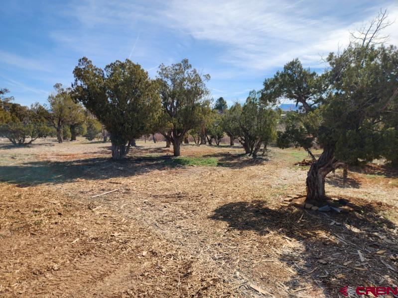 11758 Road 27.1 Property Photo 35