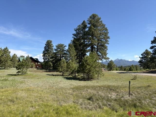19 Monte Vista Property Photo 2