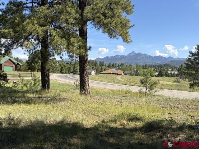 19 Monte Vista Property Photo 3