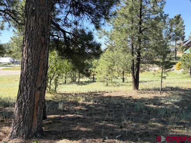 19 Monte Vista Property Photo 4