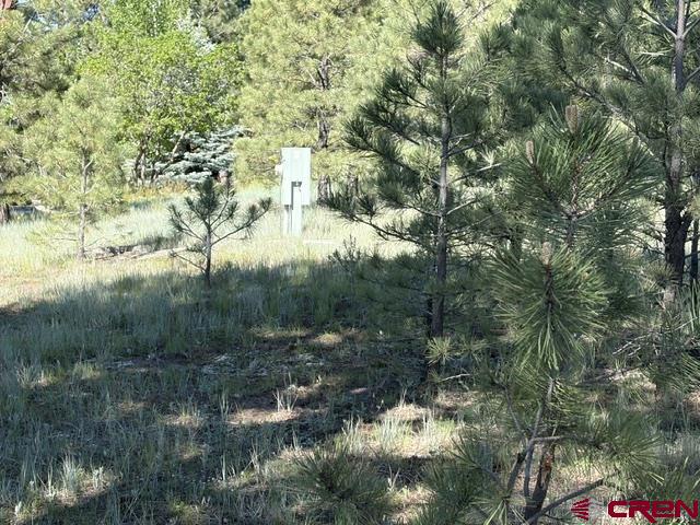 19 Monte Vista Property Photo 5