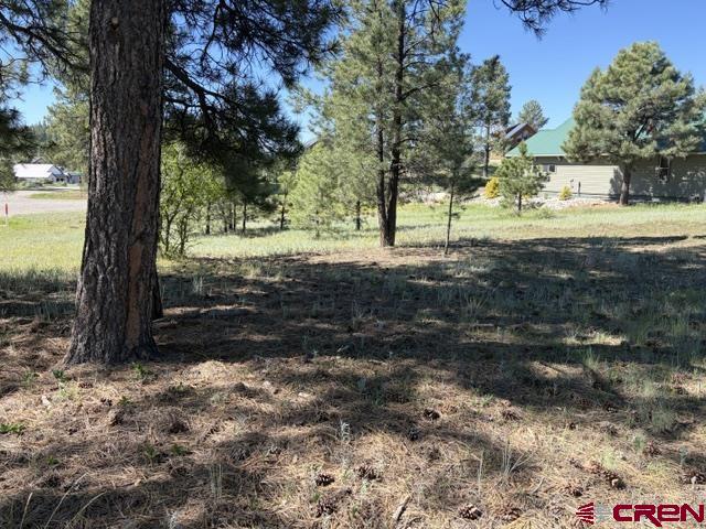 19 Monte Vista Property Photo 6