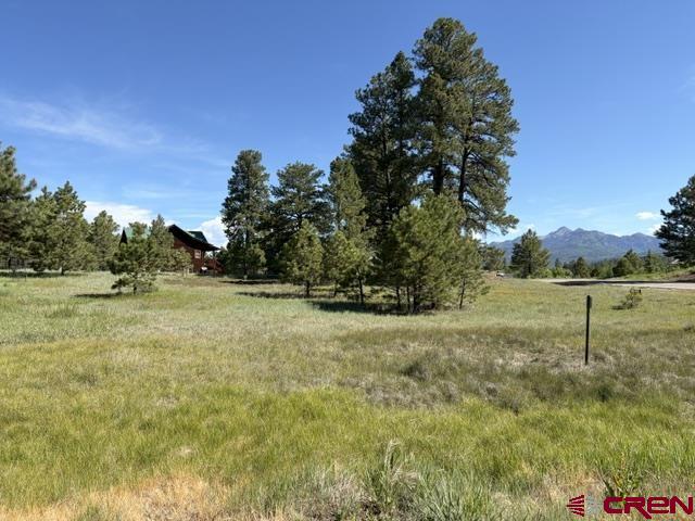 19 Monte Vista Property Photo 7