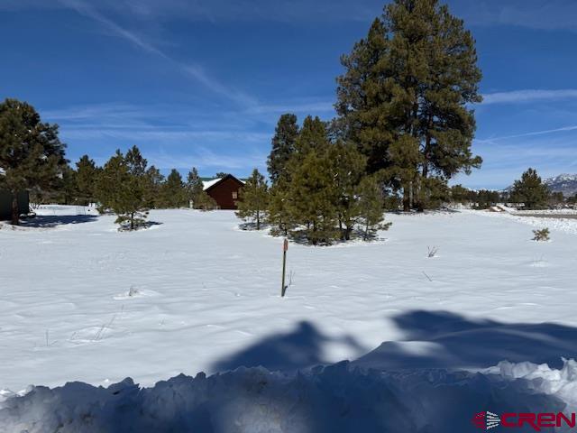 19 Monte Vista Property Photo 8