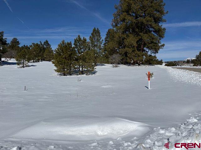 19 Monte Vista Property Photo 10