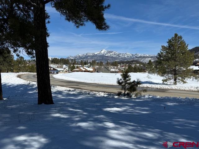 19 Monte Vista Property Photo 12