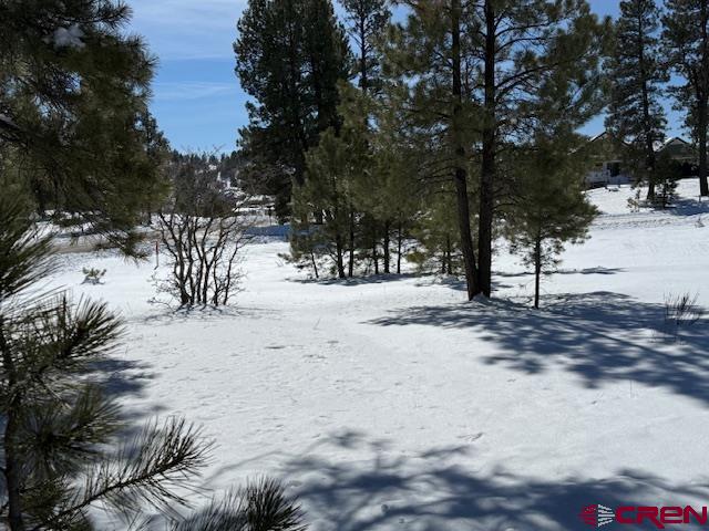 19 Monte Vista Property Photo 13