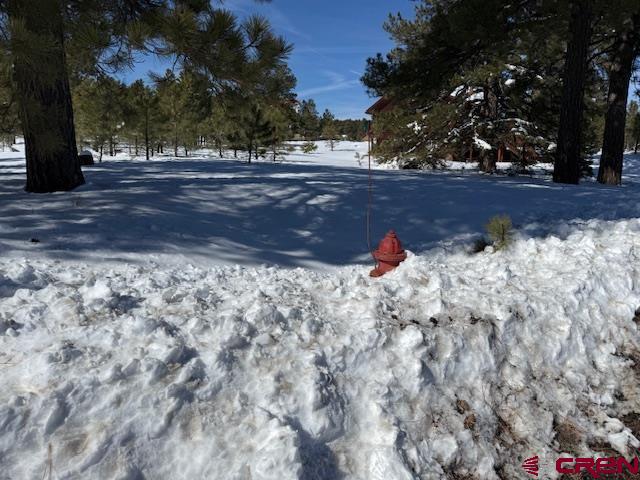 19 Monte Vista Property Photo 18