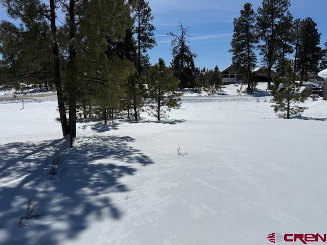 19 Monte Vista Property Photo 19