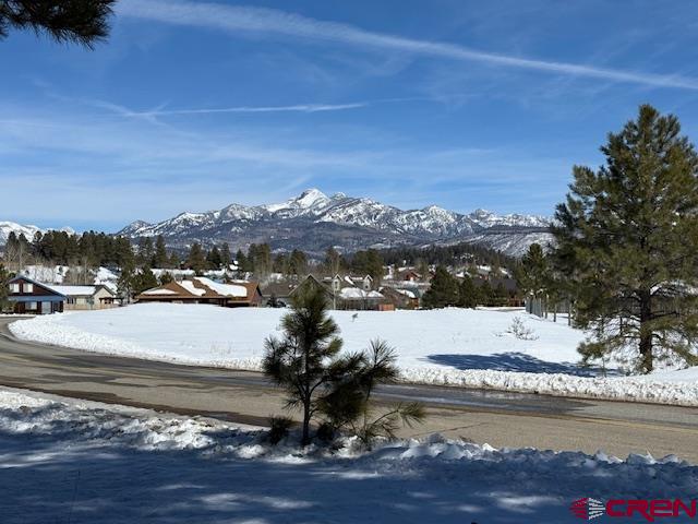 19 Monte Vista Property Photo 20