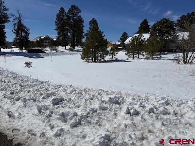 19 Monte Vista Property Photo 22