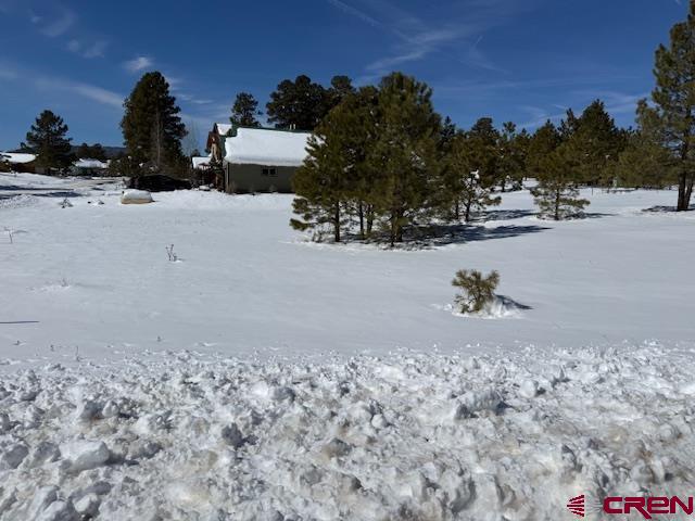 19 Monte Vista Property Photo 23