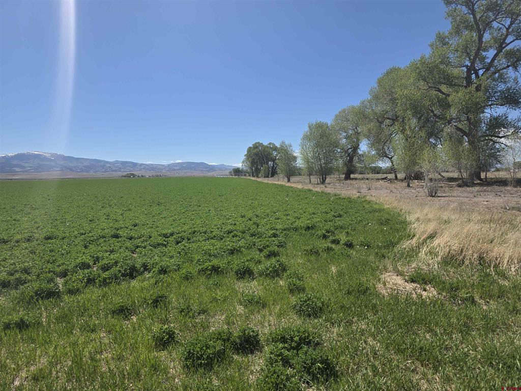 0 W Hwy 160 Property Photo 3