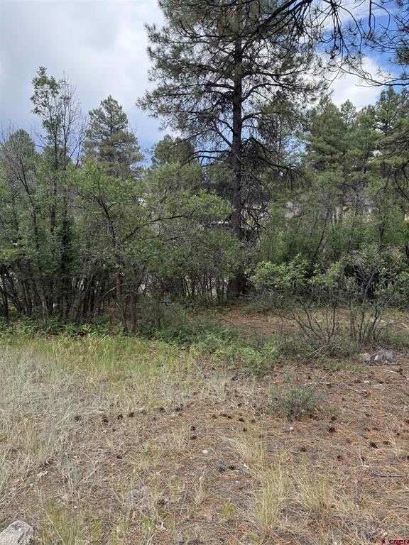 821 Aspenglow Boulevard Property Photo 2