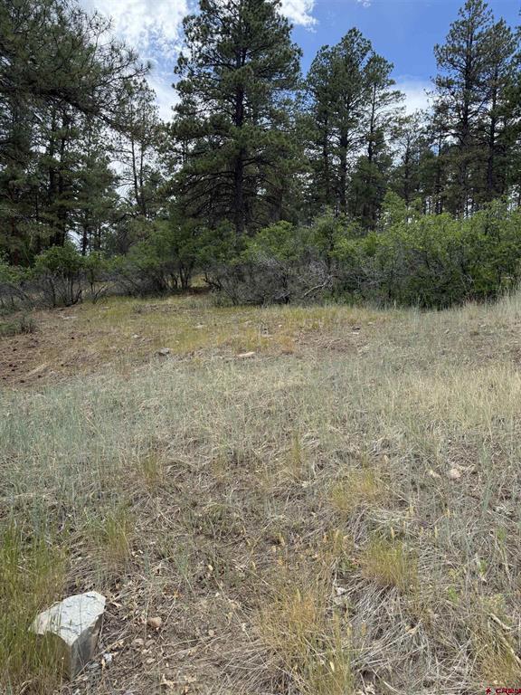 821 Aspenglow Boulevard Property Photo 12