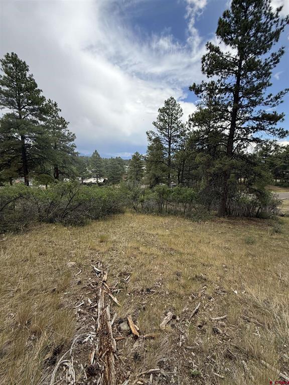 821 Aspenglow Boulevard Property Photo 21