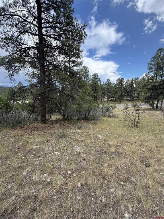 821 Aspenglow Boulevard Property Photo 22