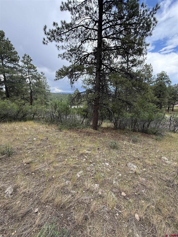 821 Aspenglow Boulevard Property Photo 24