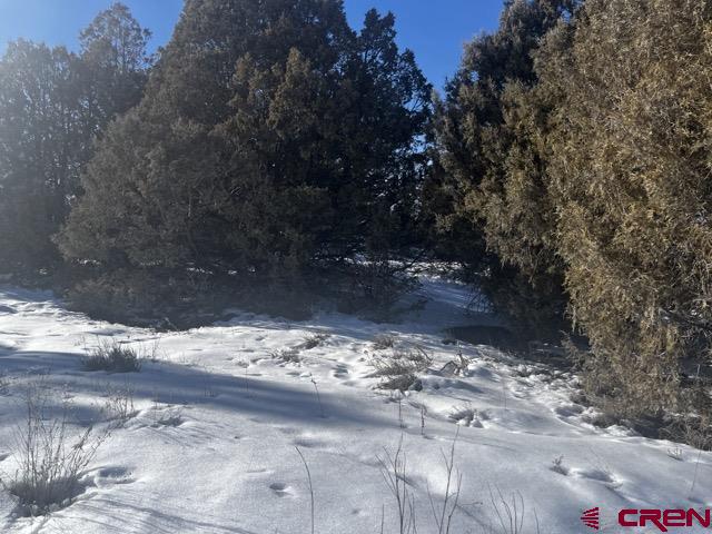 64 Bradley Place Property Photo 12