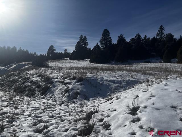 64 Bradley Place Property Photo 13