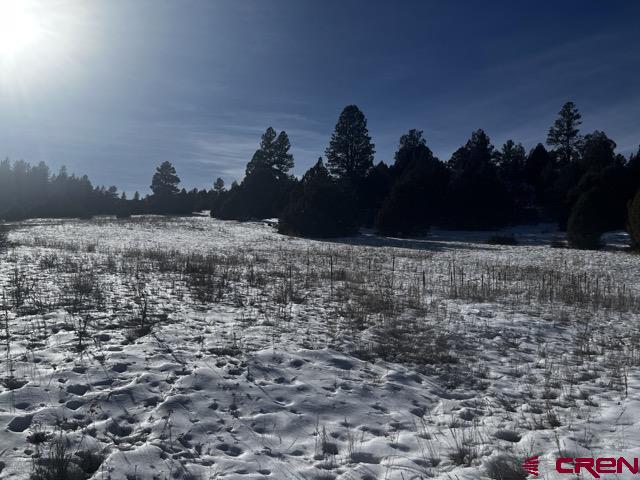 64 Bradley Place Property Photo 14