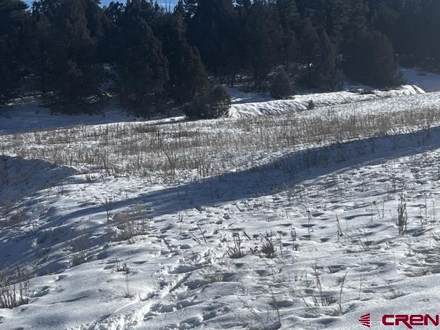 64 Bradley Place Property Photo 15