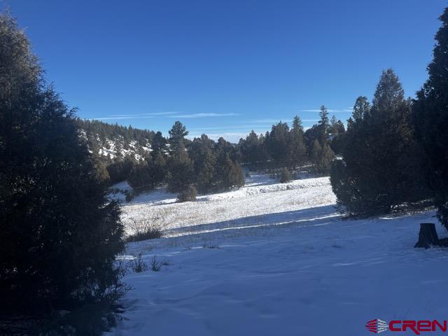 64 Bradley Place Property Photo 17