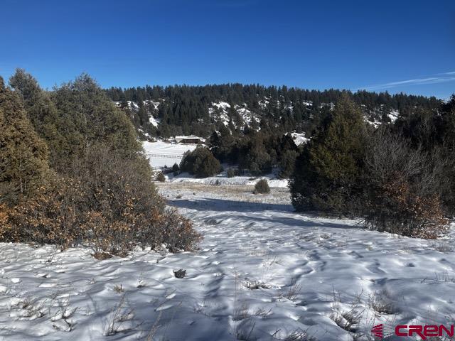 64 Bradley Place Property Photo 19