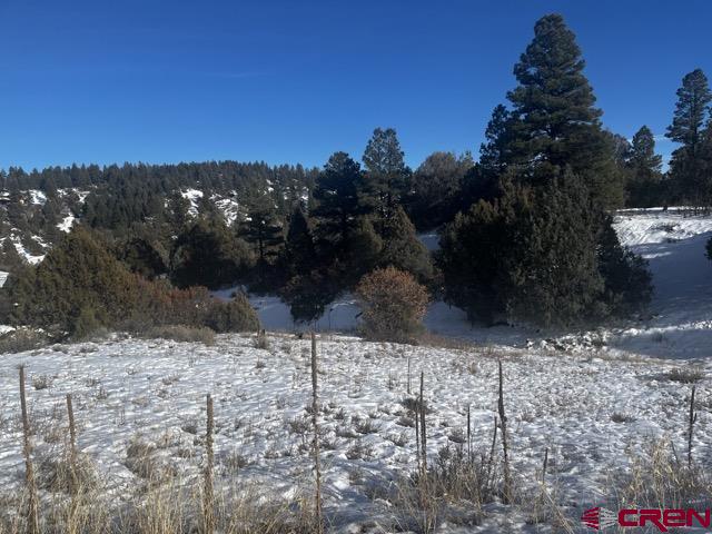 64 Bradley Place Property Photo 23