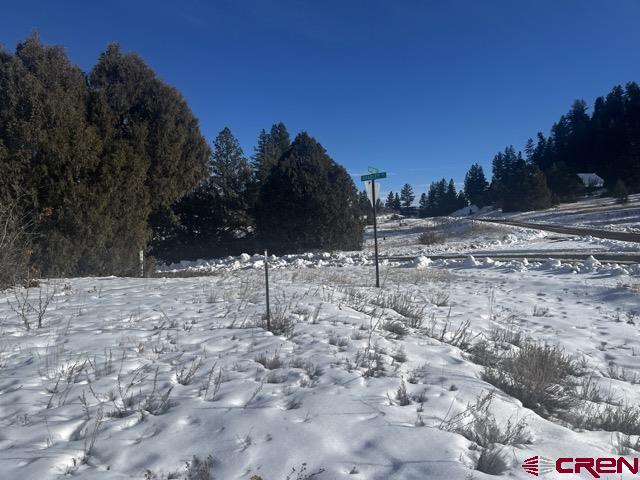 64 Bradley Place Property Photo 24