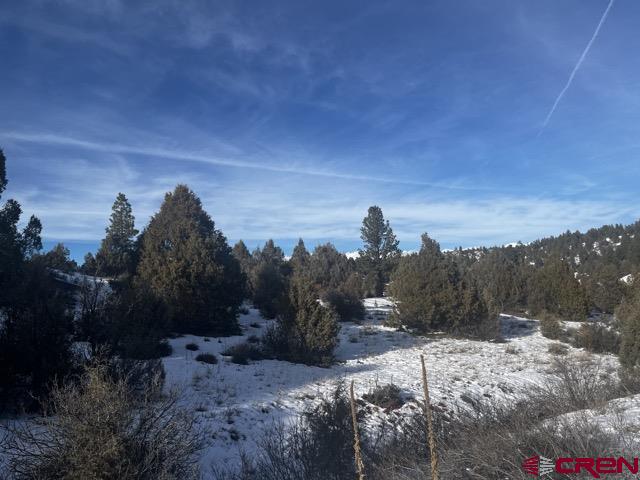 64 Bradley Place Property Photo 26